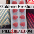 Golden Erection 18